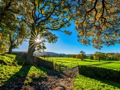 무더위 대응 ‘노지채소’ 병해충, 생육 관리 철저하게 해야